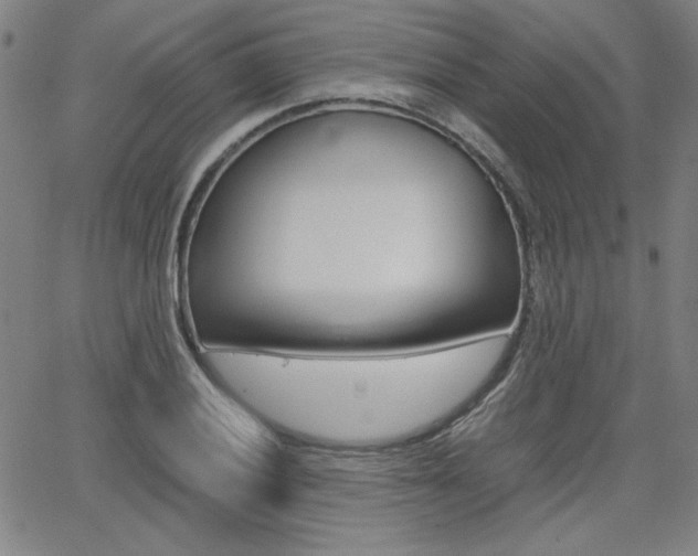 X0000062621028200512210907