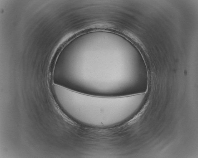 X0000062621029200512210907