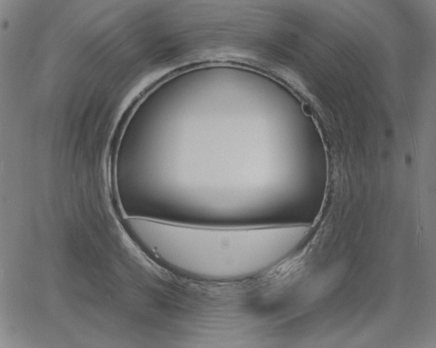 X0000062621032200512210907