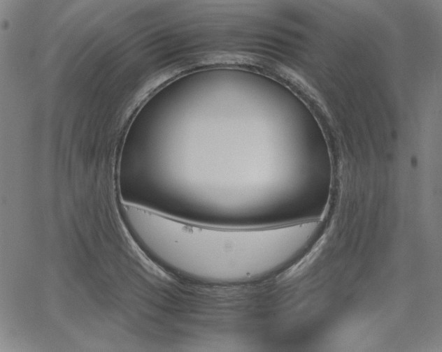 X0000062621033200512210907