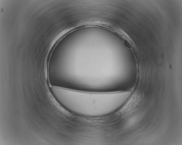 X0000062621036200512210907