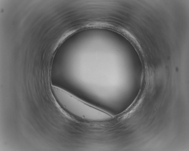X0000062621041200512210907