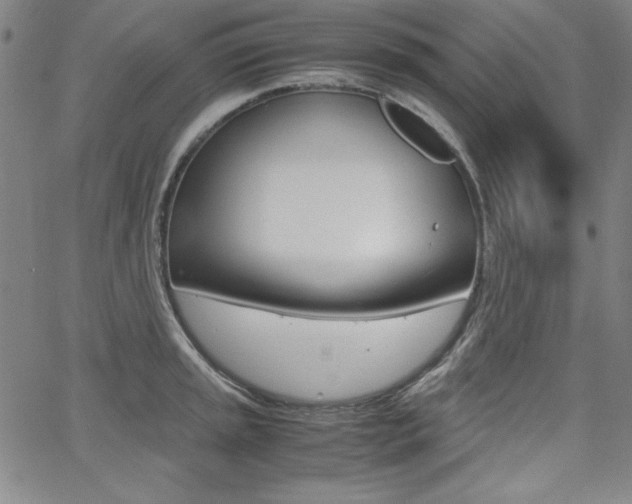 X0000062621045200512210907