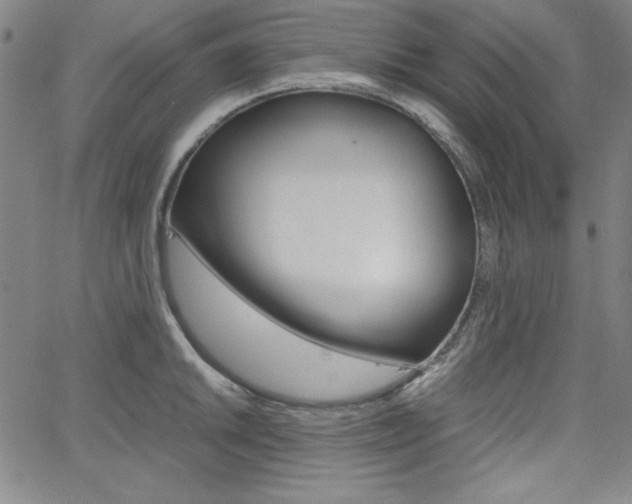 X0000062621046200512210907