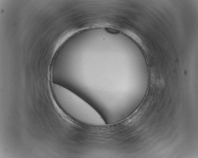 X0000062621047200512210907