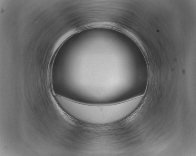 X0000062621050200512210907