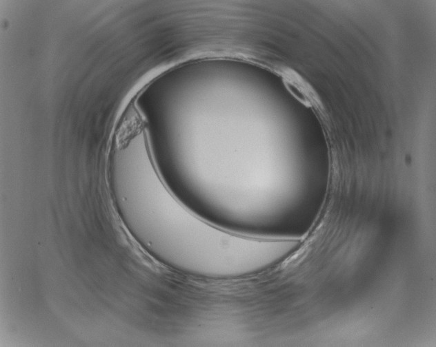 X0000062621052200512210907