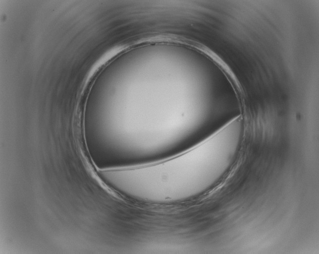 X0000062621053200512210907