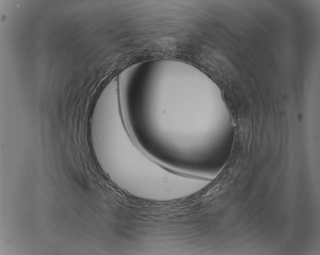 X0000062621057200512210906