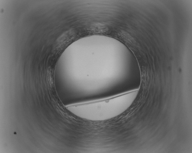 X0000062621058200512210906