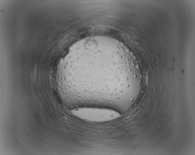 X0000062621059200512210906