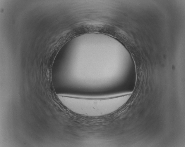 X0000062621061200512210906
