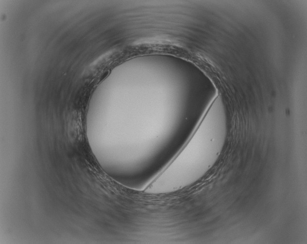 X0000062621062200512210906