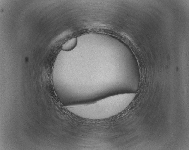 X0000062621063200512210906