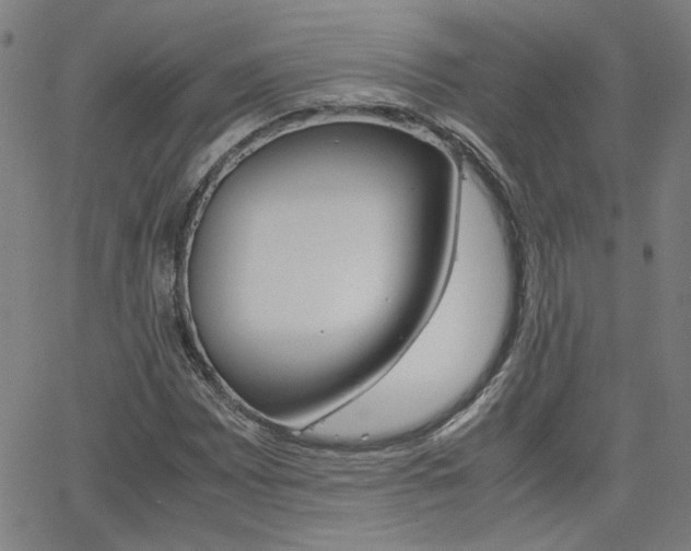 X0000062621065200512210906