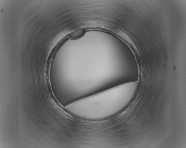 X0000062621068200512210906