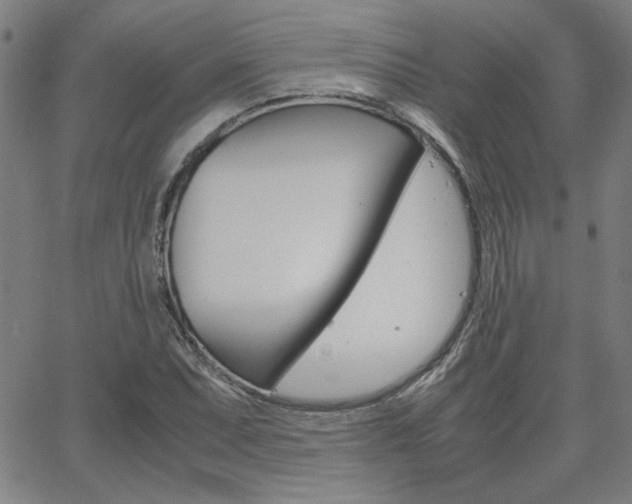 X0000062621071200512210906