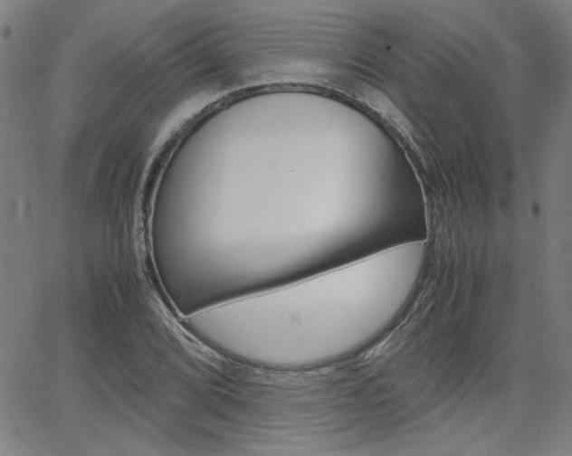 X0000062621072200512210906