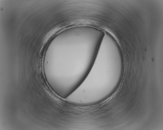 X0000062621075200512210906
