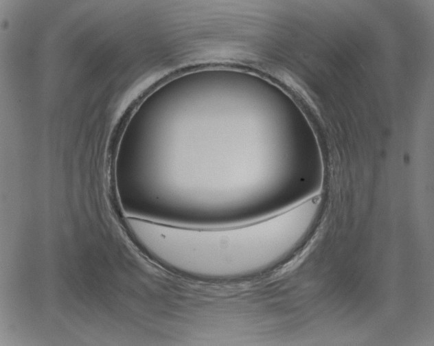 X0000062621077200512210906