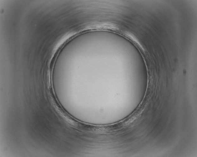 X0000062621079200512210906