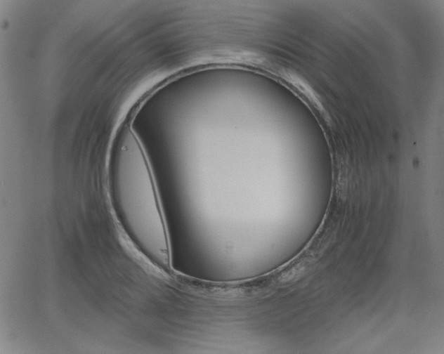 X0000062621080200512210906