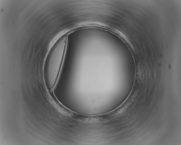 X0000062621082200512210906