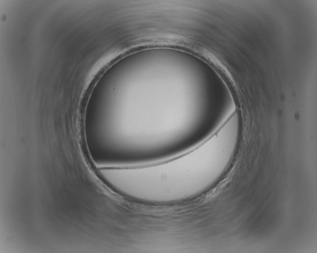 X0000062621085200512210906