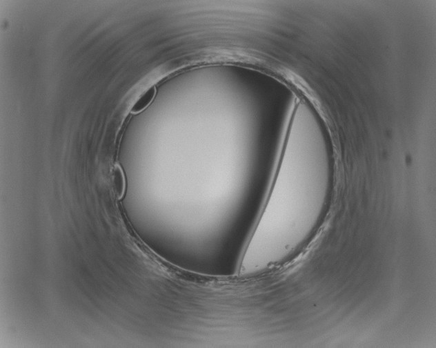 X0000062621089200512210906