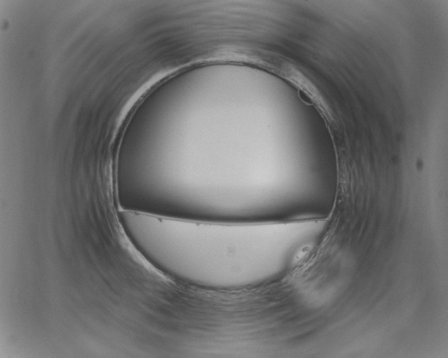 X0000062621092200512210906