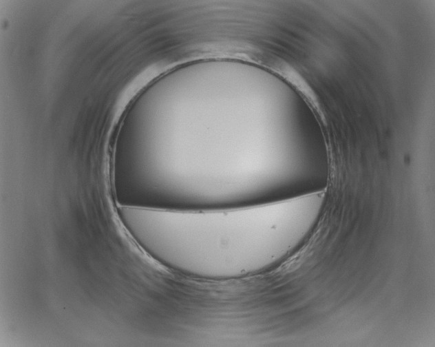 X0000062621096200512210906