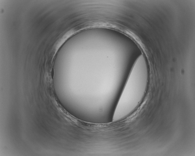 X0000062621097200512210906
