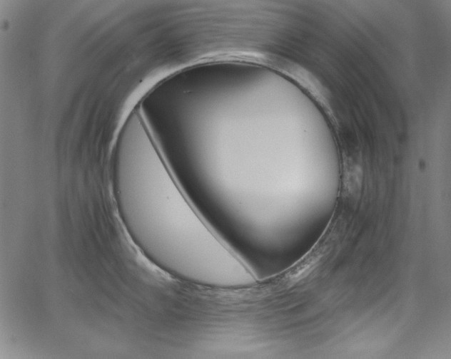 X0000062621102200512210906