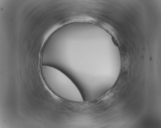 X0000062621103200512210906
