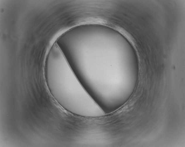 X0000062621104200512210906