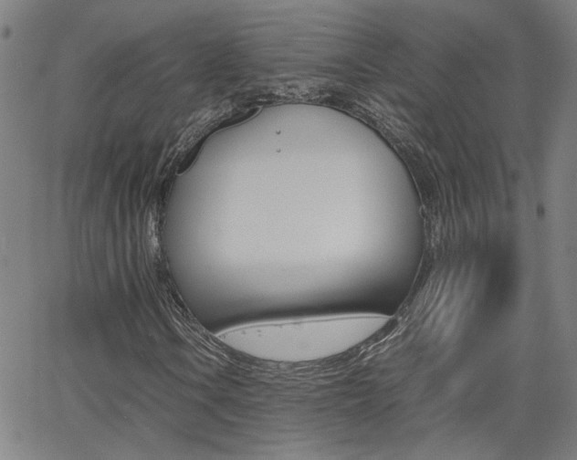 X0000062621106200512210905