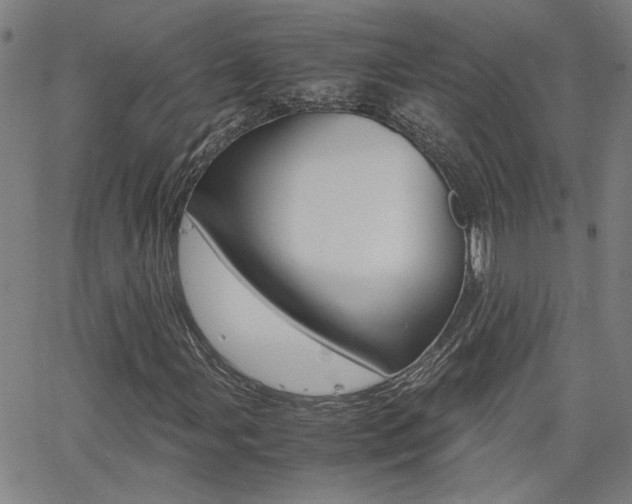 X0000062621107200512210905