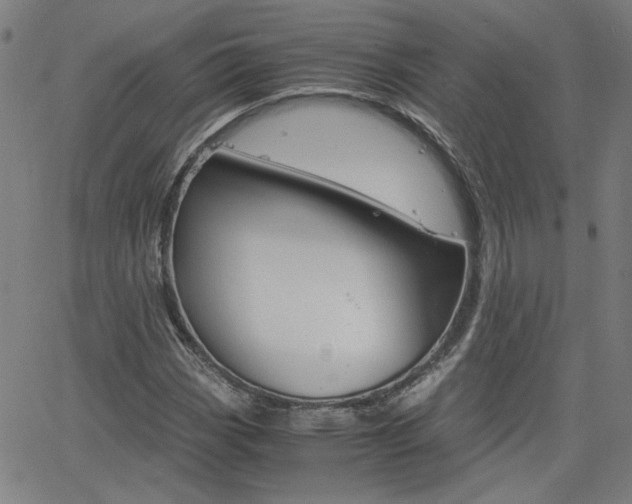 X0000062621113200512210905
