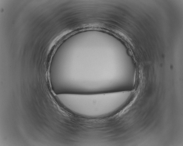 X0000062621117200512210905