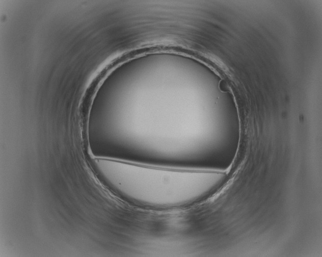 X0000062621118200512210905