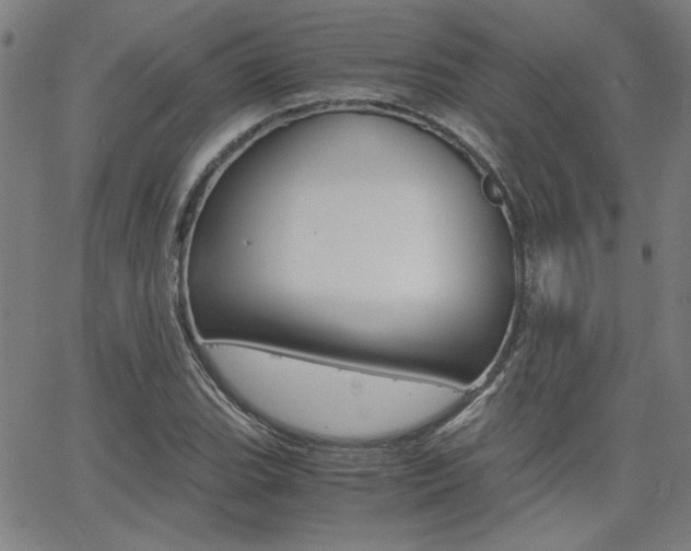 X0000062621119200512210905