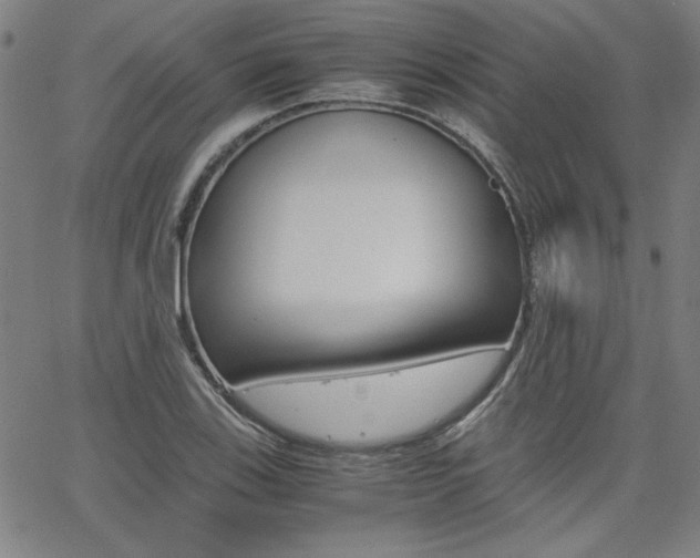 X0000062621123200512210905