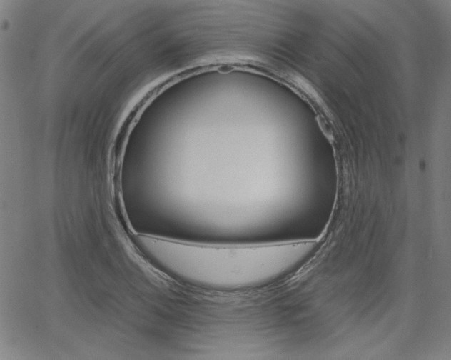 X0000062621124200512210905