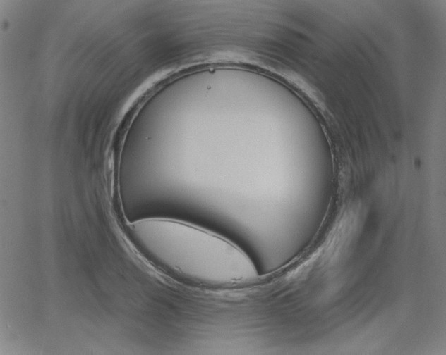 X0000062621126200512210905