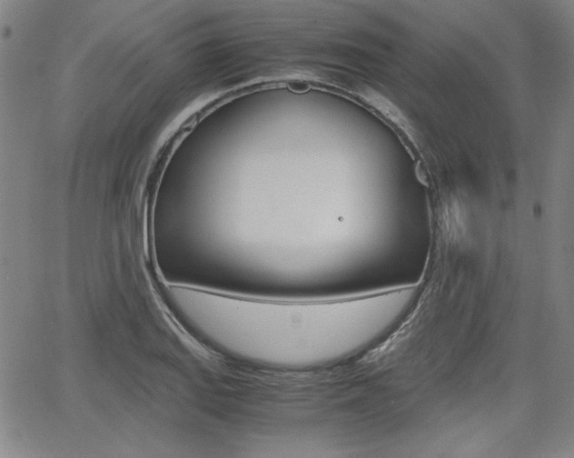 X0000062621127200512210905