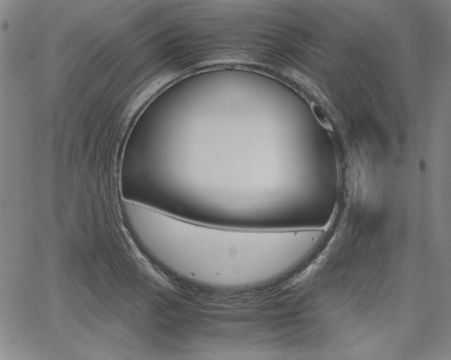 X0000062621129200512210905
