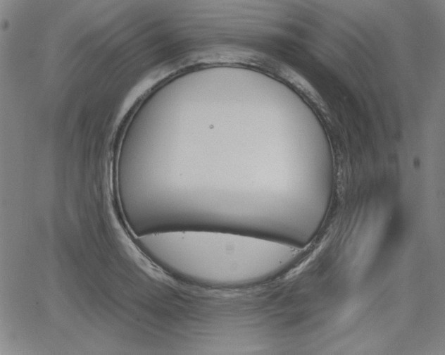 X0000062621130200512210905