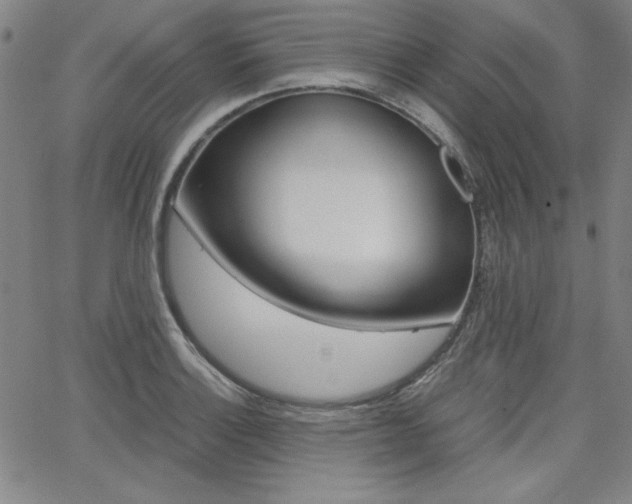 X0000062621132200512210905