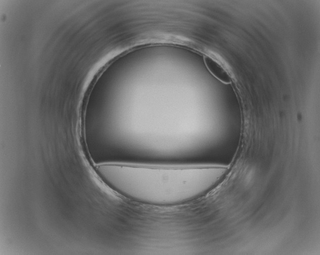 X0000062621136200512210905