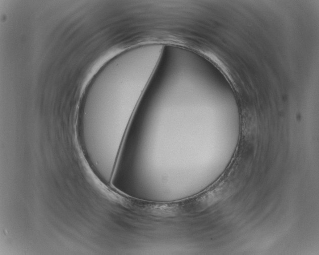 X0000062621139200512210905